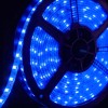 LED Strip 12V 60LED/m Blau Wasserdicht IP65 - 5m
