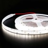 Tira LED 12V 204LED/m Blanco Neutro 4500K Potente - 5m