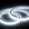 Ruban LED Néon Flexible 220V 1m Blanc Froid 6000K Étanche – Lumière Continue