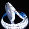 Tira LED 12V 120LED/m Blanco Frío 6000K - 5m