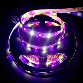 Ruban LED RGBW 12V Multicolore et Blanc Froid – 60LED/m – 5m