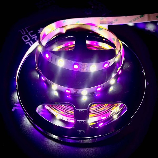 Ruban LED RGBW 12V Multicolore et Blanc Froid – 60LED/m – 5m