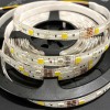 Ruban LED RGBCCT 12V Multicolore + Blanc Variable Étanche IP65 – 60LED/m – 5m